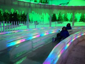 IMG_287