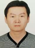 白桦 